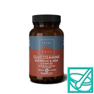 TERRANOVA GLUKOZAMIN, BOSWELLIA, MSM kompleks a50